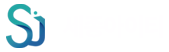 세종아이티
